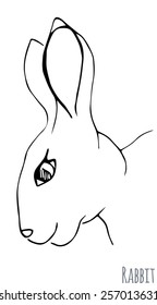 Sketch of a rabbit. Vector illustration