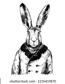 Sketch of rabbit in winter jacket. Hand drawn vector illustration