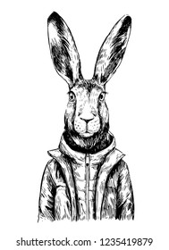 Sketch of rabbit in winter jacket. Hand drawn vector illustration