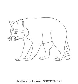 Sketch of Raccoon drawn by hand. Vector hand drawn illustration.