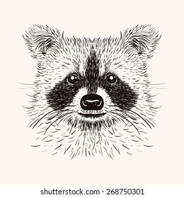 Sketch raccoon face. Hand drawn vector  illustration in doodle style. Engraving design for tattoos or print.