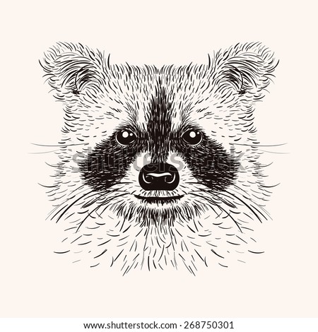 Sketch Raccoon Face Hand Drawn Vector Stock Vector (Royalty Free