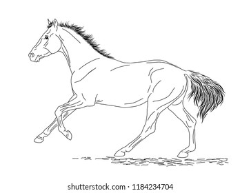 A sketch of a racing horse.