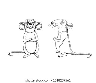 Sketch of a rat. Cartoon style. Full face image and profile.