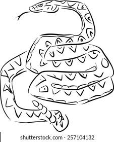 Sketch of rattlesnake