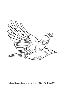 Sketch of raven for tattoo, t-shirt and logo. Hand drawn vector Illustration