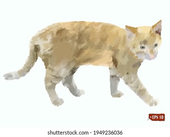 Sketch of a realistic ginger silhouette of a tabby cat. Hand drawn vector illustration of a realistic ginger silhouette of a tabby cat. Tattoo, element for design.