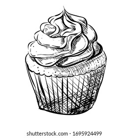 sketch, realistic vector of cupcake to color