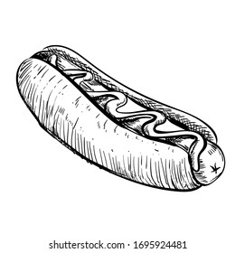 sketch, realistic vector of hot dogs to color