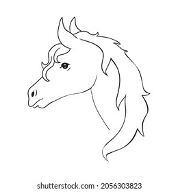 Sketch realistic vector illustration of a horse portrait, horse portrait on a white background. vector illustration