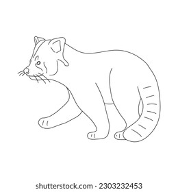 Sketch of Red panda drawn by hand. Vector hand drawn illustration.