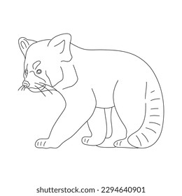 Sketch of Red panda. Hand drawn vector illustration.