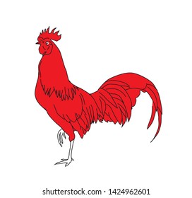 sketch a red rooster, a white vector background
