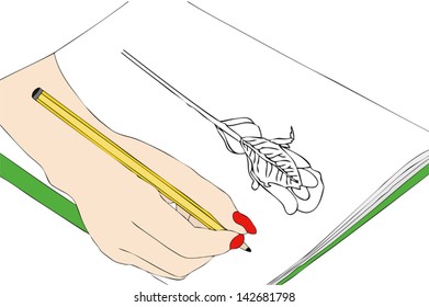 Sketch of Red Rose