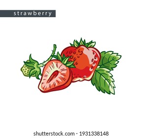 sketch red strawberries: large and small whole berries, half and leaves