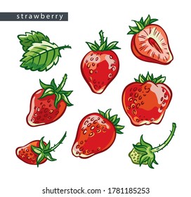 sketch red strawberries: set of eight drawings