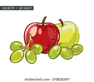 sketch red and yellow apples and green grapes: two fruits and berries
