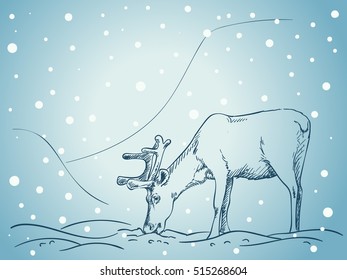 Sketch of reindeer grazing on blue winter background of Lapland landscape, Hand drawn vector illustration 