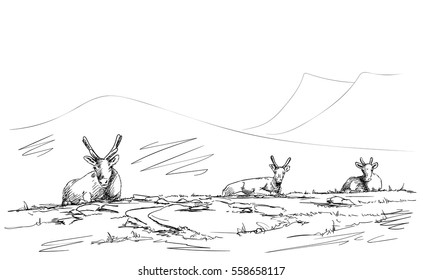 Sketch of resting reindeers with mountains on background, Hand drawn vector illustration, Black lines on white