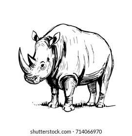 Sketch of rhinoceros. Hand drawn illustration converted to vector