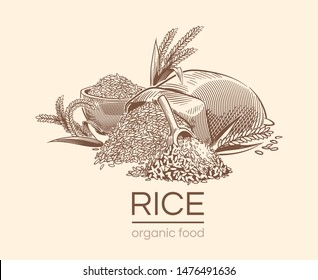 Sketch rice background. Agricultural plant, vintage hand drawn organic rice seeds and sack of grains. Diet engraving vector ear bowl cereal healthy draw for asian restaurant design