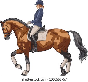 Sketch of a rider and horse execute the piaffe.