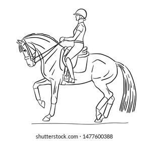 Sketch of a rider and horse execute the piaffe