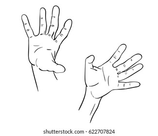 Sketch Right Left Hand Spread Out Stock Vector (Royalty Free) 622707824 ...