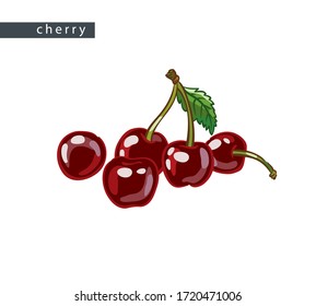 a sketch of ripe cherries: five fruits