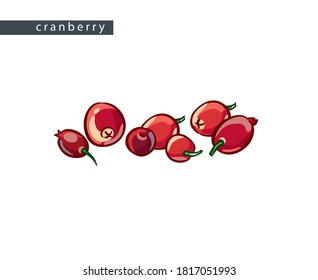 sketch ripe cranberries: seven berries