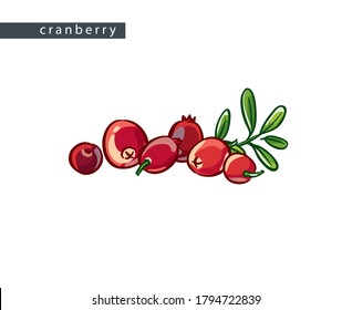 sketch ripe cranberries: six berries and leaves 