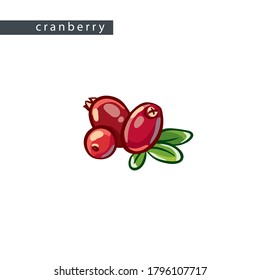 sketch of ripe cranberries: three berries