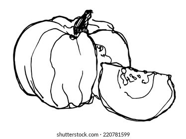 a sketch of ripe pumpkin on white background