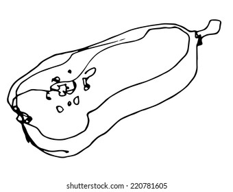 a sketch of ripe pumpkin on white background