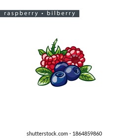 sketch ripe raspberries and bilberries: 
two raspberries, three bilberries and leaves