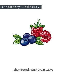 sketch ripe raspberries and bilberries: 
two raspberries and three bilberries