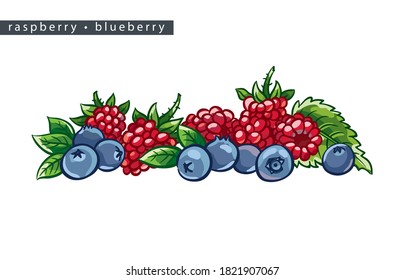 sketch ripe raspberries and blueberries: 
bunch of berries and leaves