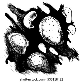 Sketch of  river bottom. Hand drawn texture. Vector isolated illustration.