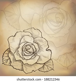 Sketch  rose background, hand drawn, ink style