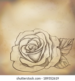 Sketch  rose background, hand drawn, ink style
