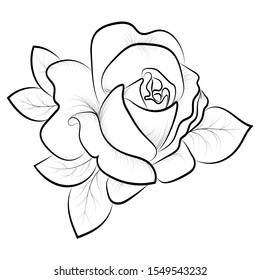 A sketch of a rose in black.Contour sketch of a black rose on a white background.