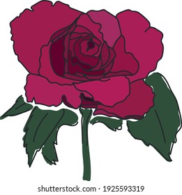 Sketch Rose Bud, hand drawn rose. Vector illustration