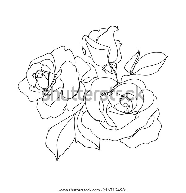 Sketch Rose Buds Outlay Vector Minimalistic Stock Vector (Royalty Free ...