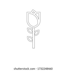 Sketch rose drawing vector on white background. 