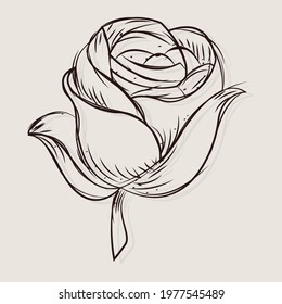 Sketch of a rose flower Vector illustration
