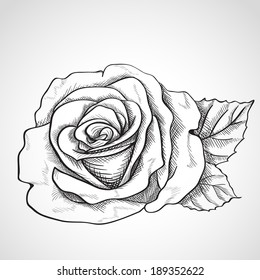 159,953 Rose sketch Stock Vectors, Images & Vector Art | Shutterstock