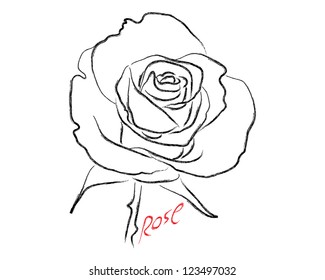 Sketch of rose vector