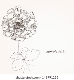 Sketch of rose vector illustration