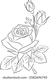 sketch of roses and leaves