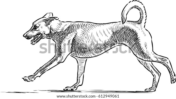 Sketch Running Dog Stock Vector (Royalty Free) 612949061